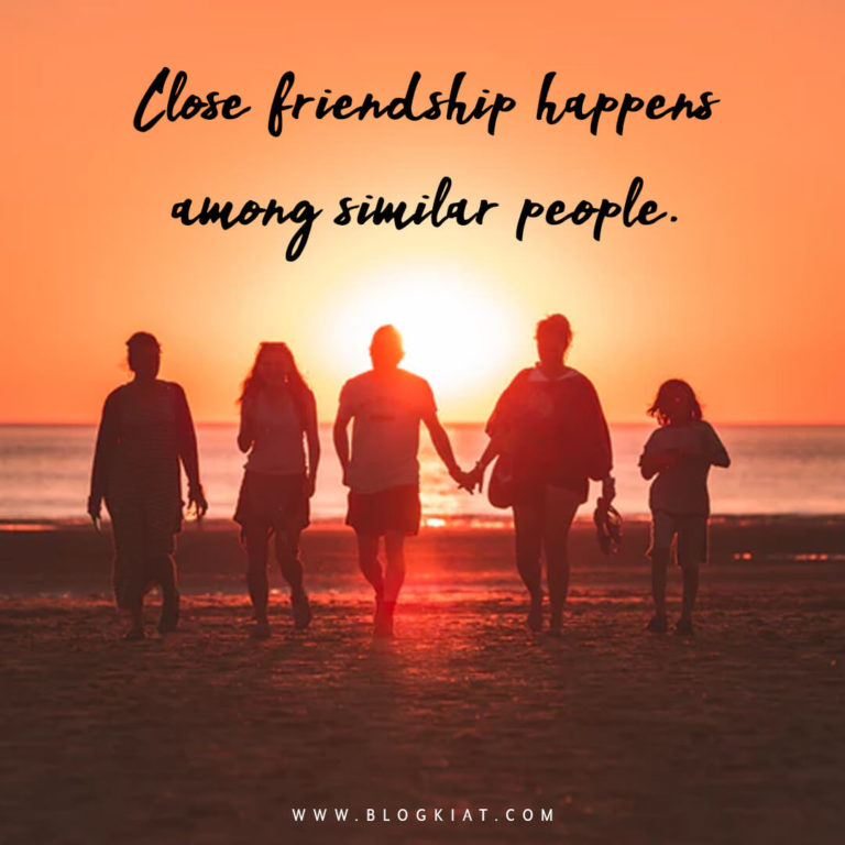 Explore Perfect Friendship Quotes(2024 Update)