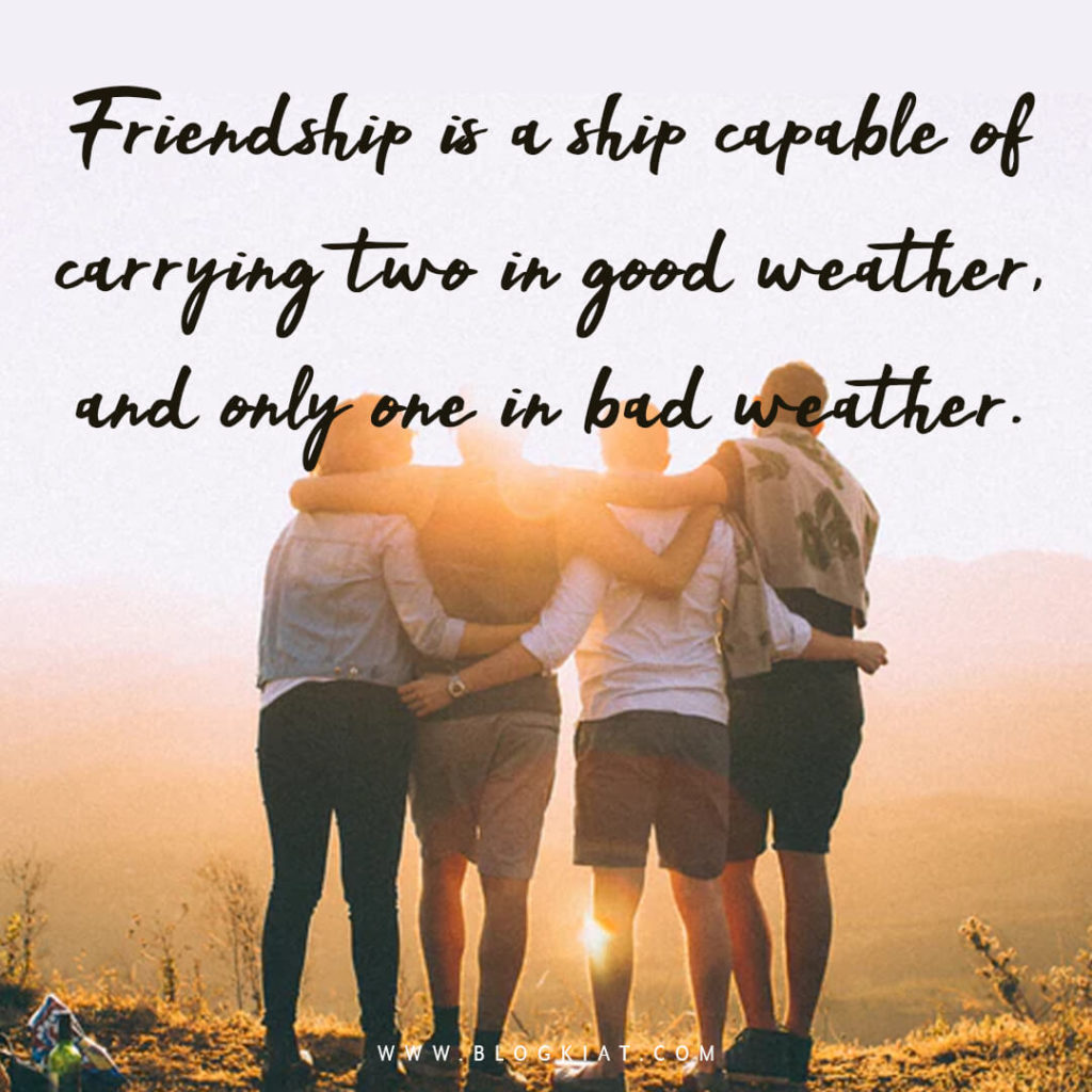Explore Perfect Friendship Quotes(2024 Update)