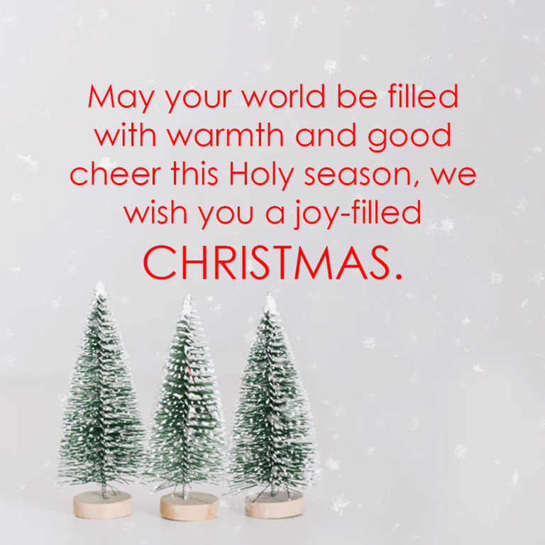 Best Merry Christmas Wishes & Quotes in 2024