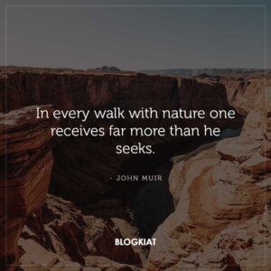 25+ Best Nature Quotes to Appreciate The World - Blogkiat