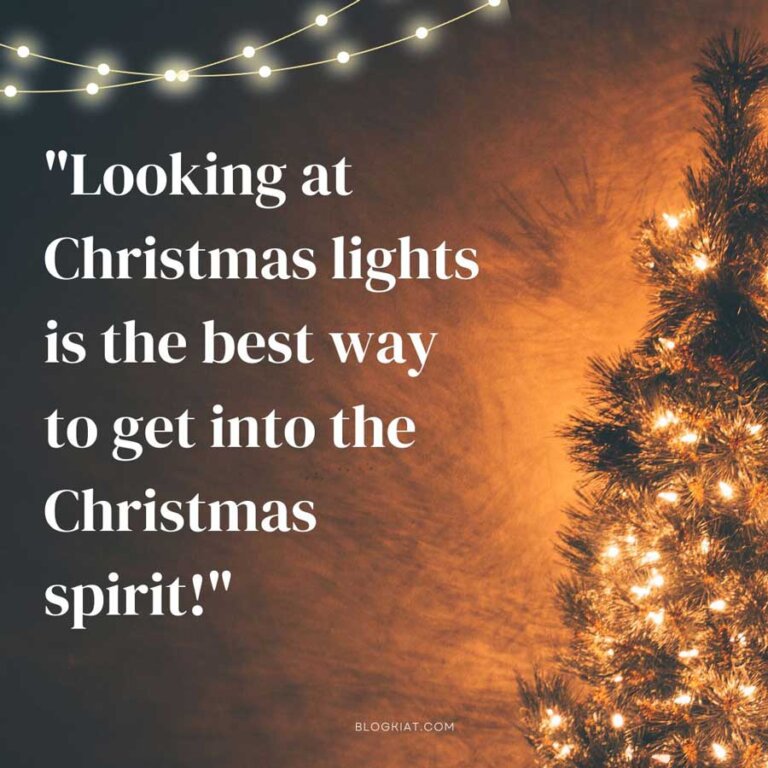 25+ Best Quotes About Christmas Lights To Make The Season Shine - Blogkiat