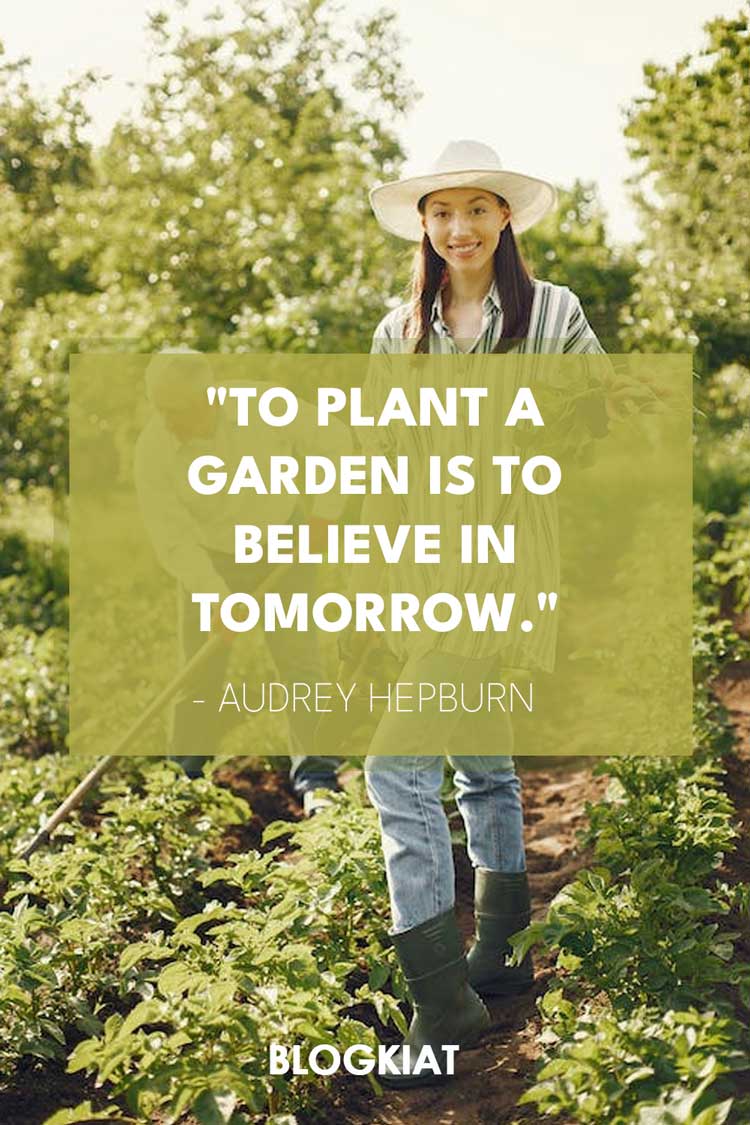 35 Best Inspirational Garden Quotes In 2024