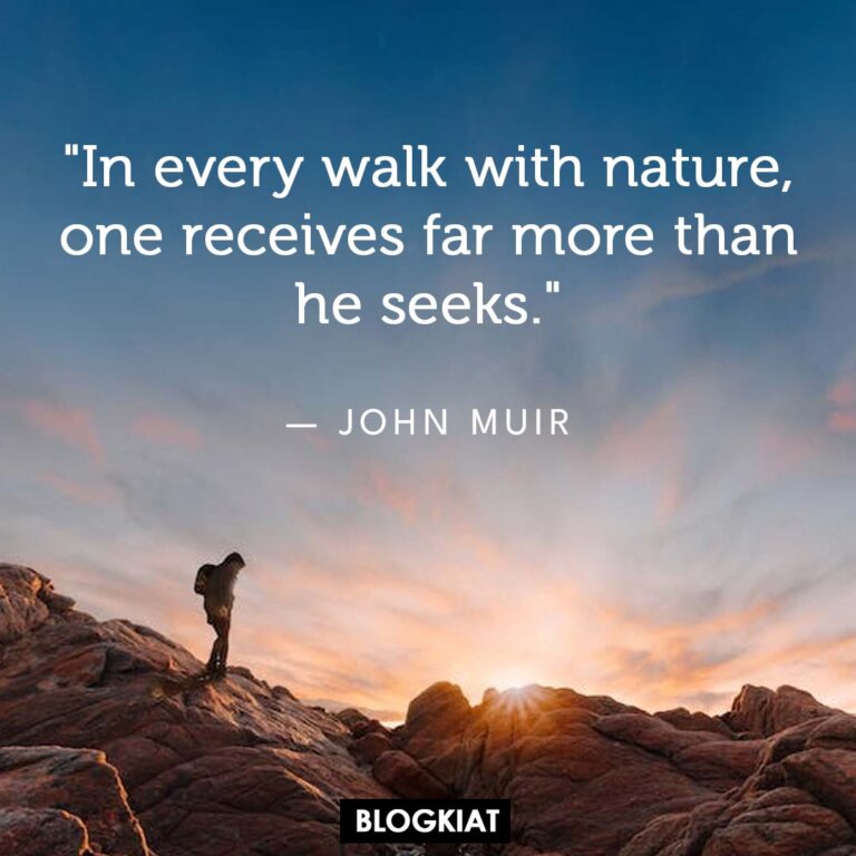 25 John Muir Quotes That Inspire Adventure - Blogkiat